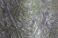 East Sussex fibreglass roof work